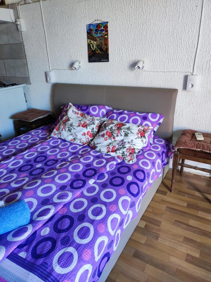 Prenociste Indija Hrvic Apartment Exterior foto